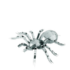 Puzzle 3D d'Insectes