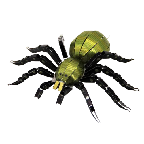 Puzzle 3D d'Insectes
