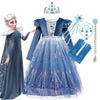 Robe de princesse Elsa Reine des neiges