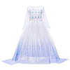 Robe de princesse disney