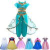 Robe de princesse disney
