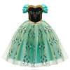 Robe de princesse disney